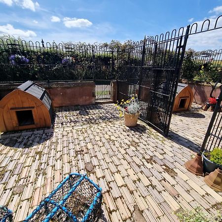 Vila Eco Indigo Dunbar Exteriér fotografie
