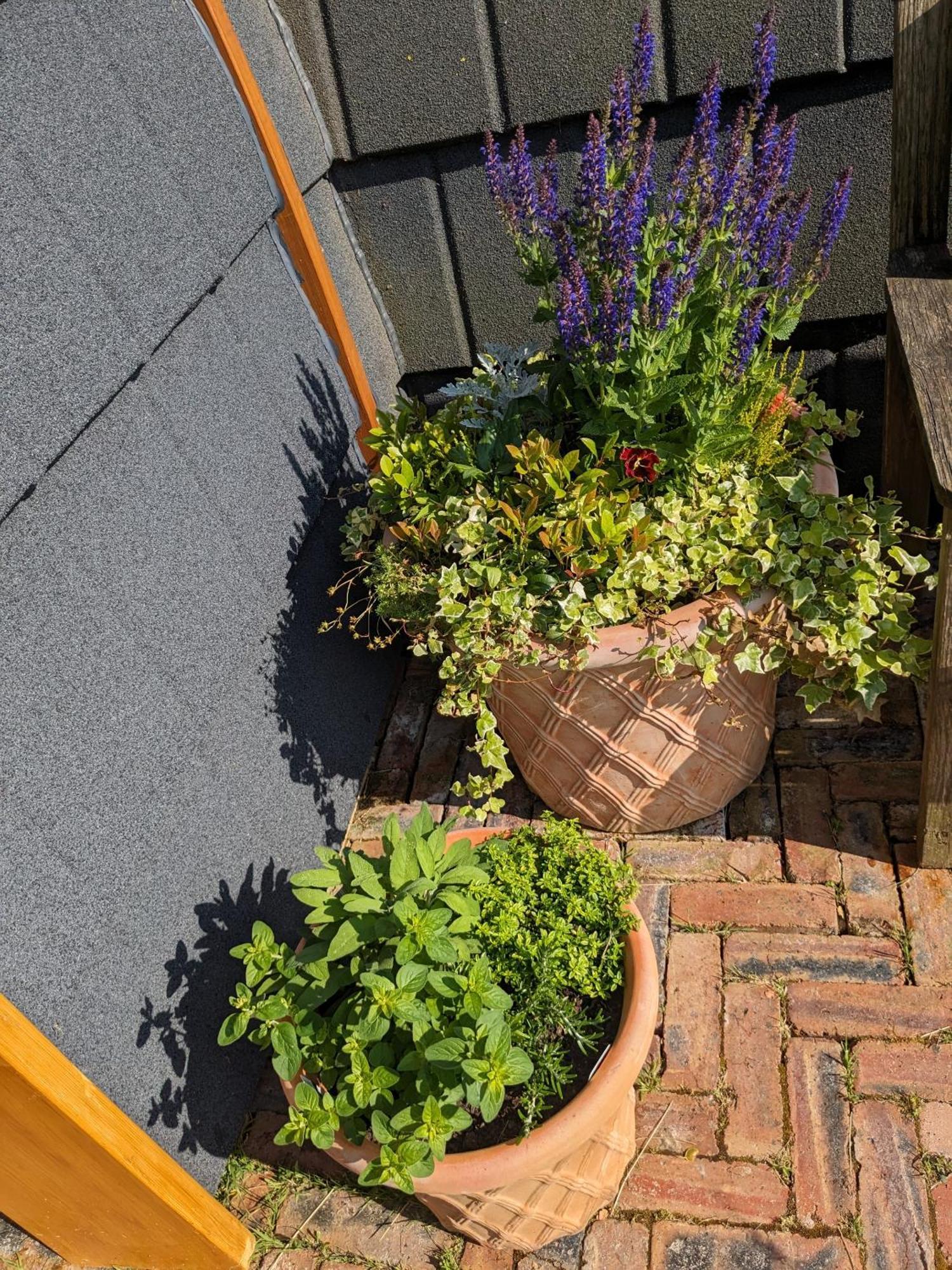Vila Eco Indigo Dunbar Pokoj fotografie