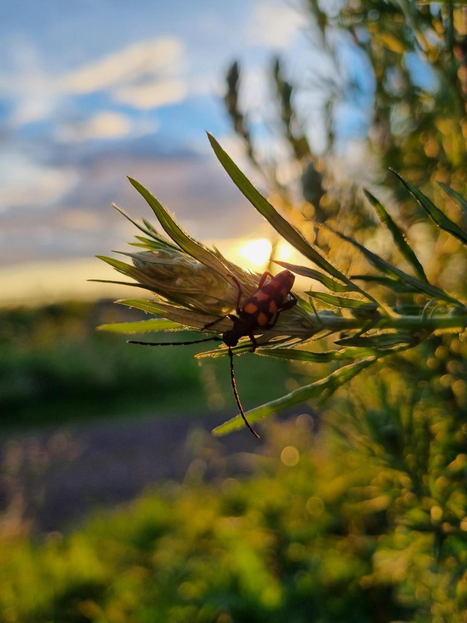 Vila Eco Indigo Dunbar Pokoj fotografie